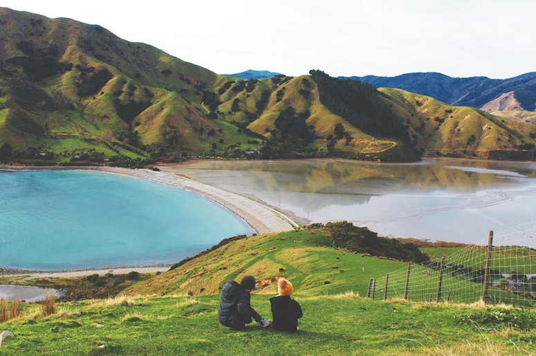 new zealand view